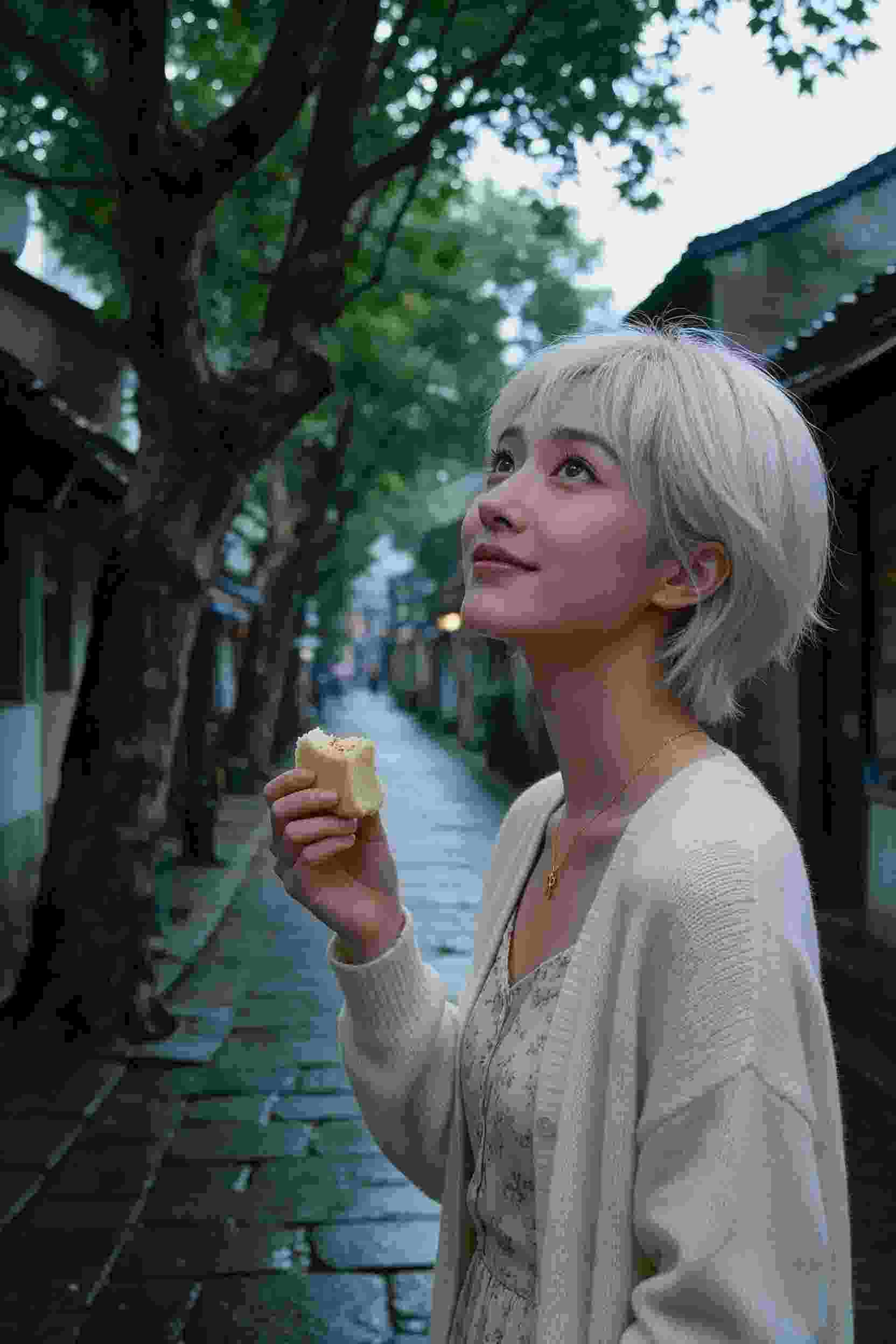 命运之轮